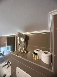 萨拉热窝马哈拉之家的浴室设有水槽和卫生纸台面