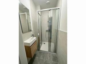 阿尔泽特河畔埃施Private Room in the City Centre的带淋浴和盥洗盆的浴室