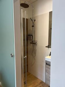 Birkimelur Strönd Guesthouse的浴室里设有玻璃门淋浴