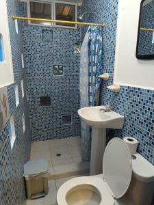 卡诺阿Casa Shangri La的蓝色瓷砖浴室设有卫生间和水槽