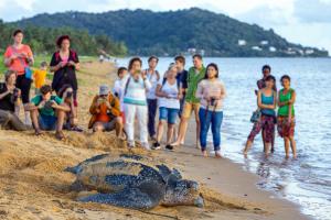 MontjolyLe petit marin des salines à 0 metre de la plage的一群在海滩上与海龟在一起的人