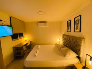 科韦尼亚斯Apartamento Exclusivo - Caribe Campestre Coveñas的配有一张床和一台平面电视的酒店客房