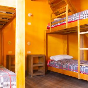拉塔昆加Hostal Café Tiana的黄色墙壁的客房内设有两张双层床。