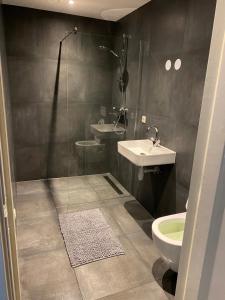 HultenB & B In Two Hulten的带淋浴、盥洗盆和卫生间的浴室