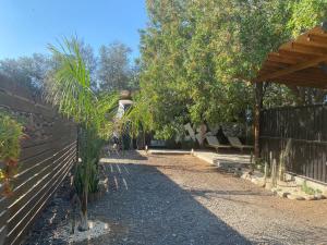 克洛拉卡斯- Magic Bus -的花园设有围栏、长凳和树木