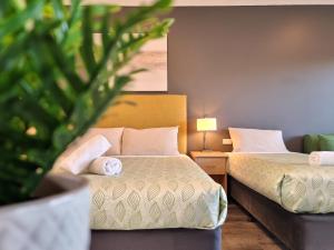 阿波罗湾海景旅馆公寓的一间酒店客房,配有两张床和植物