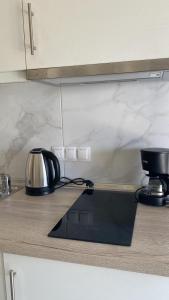 斯卡拉伯塔麦斯INROY SEA VIEW APARTMENTS的厨房台面上配有咖啡壶和柜台西德西德克斯