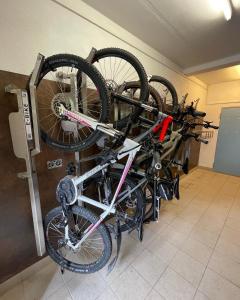 莱尔莫斯Apart Haus Alpenhof的自行车架上的自行车