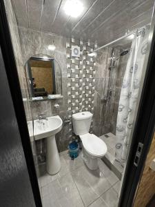 塞凡Nirok的浴室配有卫生间、盥洗盆和淋浴。