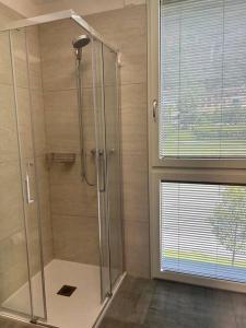 梅拉诺LabPark Luxury Apartment的带窗户的浴室内的淋浴间