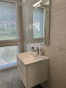 梅拉诺LabPark Luxury Apartment的一间带水槽和镜子的浴室