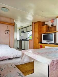 韦巴德莱克雷巴酒店的带两张床的客房和带电视的厨房