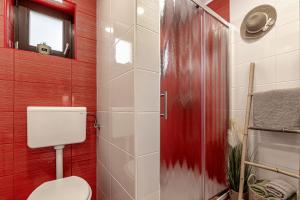 SemičVineyard Cottage Lan On The Hill - Happy Rentals的一间带卫生间和红色墙壁的浴室