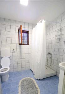索科矿泉村Apartman Luki的白色的浴室设有卫生间和淋浴。