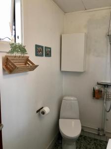 瓦伊比Cutest annex - close to Heatherhill and sea :-)的一间带卫生间的浴室和墙上的植物