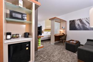尔湾欧文韦恩机场/奥兰治春季山丘套房酒店的酒店客房设有床和客厅。