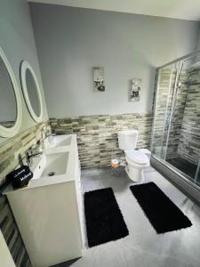 金斯敦Large Contemporary Two Bedroom的一间带水槽、卫生间和淋浴的浴室