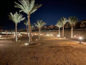 艾因苏赫纳Mountain View 1 /Ain El Sokhna的一群棕榈树在晚上,灯光照亮