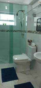 坎波斯杜若尔当Pousada Ninho da Águia的浴室配有卫生间、淋浴和盥洗盆。