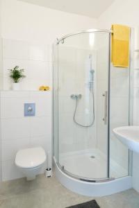 EbenthalWeinlandMotel的带淋浴、卫生间和盥洗盆的浴室