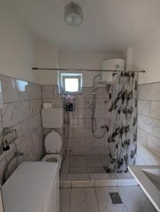 萨拉热窝Holiday Home DMD Sarajevo的带淋浴、卫生间和盥洗盆的浴室