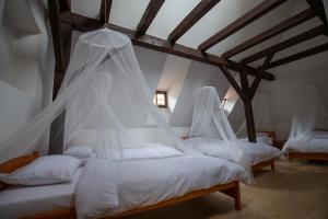 布拉格Women's Only Hostel - Female Only的一间卧室配有两张带蚊帐的床