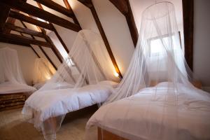布拉格Women's Only Hostel - Female Only的配有蚊帐的客房内的两张床