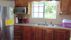 特雷热比奇Mango tree Oasis的厨房配有不锈钢冰箱和水槽