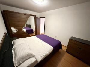 蒂米什瓦拉ADG 2 - Apartament cu 3 camere Timisoara的一间卧室配有一张大床和镜子