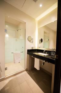 蒙特雷Hotel Centria的一间带大水槽和淋浴的浴室