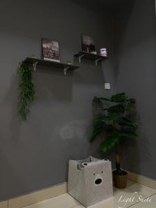哥打京那巴鲁Relaxed Studio Q&S-Bed Near Airport WI-FI-Aeropod Sovo的一间有墙的房间,有架子和植物