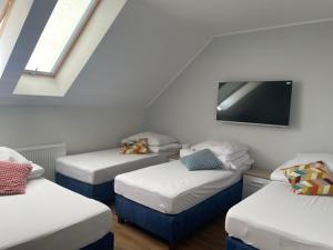 弗罗茨瓦夫Noclegi Budomas Klima-ParkigFree-SmartTv的客房设有三张床和一台平面电视。