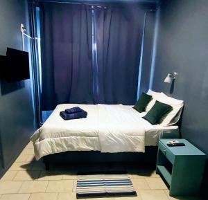 门多萨Hotel Windsor Mendoza的一间卧室配有一张蓝色窗帘的床
