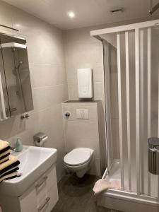 阿尔特瑙Haus Reimann的浴室配有卫生间、淋浴和盥洗盆。