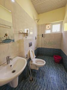 乌提Tulips Village Resorts的一间带水槽和卫生间的浴室