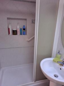 卡麦奥雷GIARDINO FIORITO的带淋浴、盥洗盆和卫生间的浴室