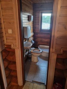 索韦亚Cabana Haiducului的一间带卫生间和水槽的小浴室