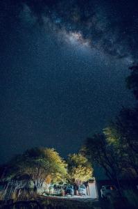 圣佩德罗·德·阿塔卡马SURI ATACAMA - Eco H&T的星空的树木和夜间的停车场