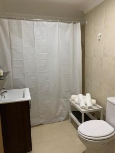 拉克鲁斯Coqueto apartamento familiar的一间带卫生间和淋浴帘的浴室