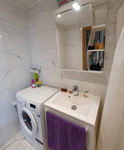 塔林Bright 3-room apartment in Mustamäe的一间带水槽和洗衣机的浴室