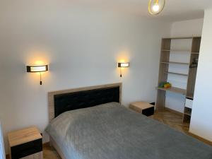 马赛St Vélodrome 3 chambres parking 8 couchages neuf的卧室配有一张床,墙上有两盏灯