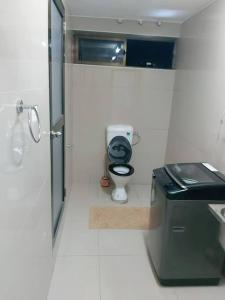 苏瓦Barrett Accommodation Apartment的一间带卫生间和水槽的小浴室