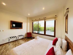 阿约拉港Lava Heron Galapagos Apartment的一间卧室设有一张大床和一个大窗户