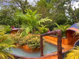 福尔图纳Hotel Heliconias Nature Inn & Hot Springs的花园内种有植物的水景