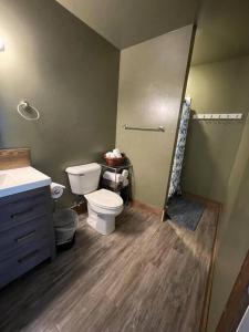 加德纳ParkWay Yellowstone Guest House Room #1的一间带卫生间和水槽的浴室