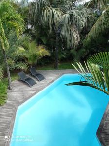 Manapany-les Bains玛格伊拉住宿加早餐旅馆的棕榈树度假村的蓝色游泳池
