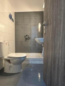 里科索翁Lixourious Apartment的一间带卫生间和水槽的浴室