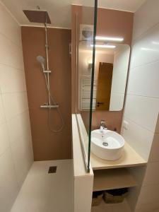勒·雷约尔·卡纳德尔·苏尔L'Arbousier的一间带水槽和镜子的浴室