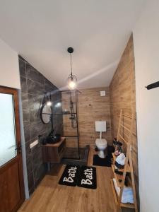 蒂米什瓦拉The Green House的客房内设有带水槽和卫生间的浴室