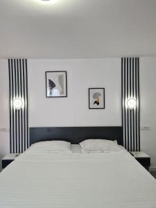 蒂米什瓦拉The Green House的一间卧室配有一张带两盏灯的大型白色床。